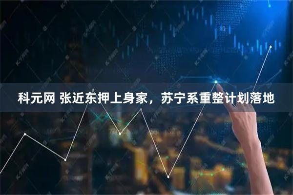 科元网 张近东押上身家,苏宁系重整计划落地