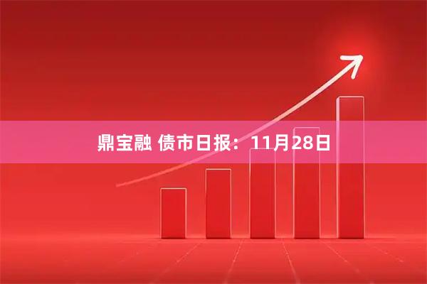 鼎宝融 债市日报：11月28日