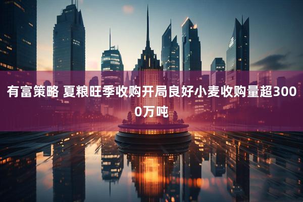 有富策略 夏粮旺季收购开局良好小麦收购量超3000万吨